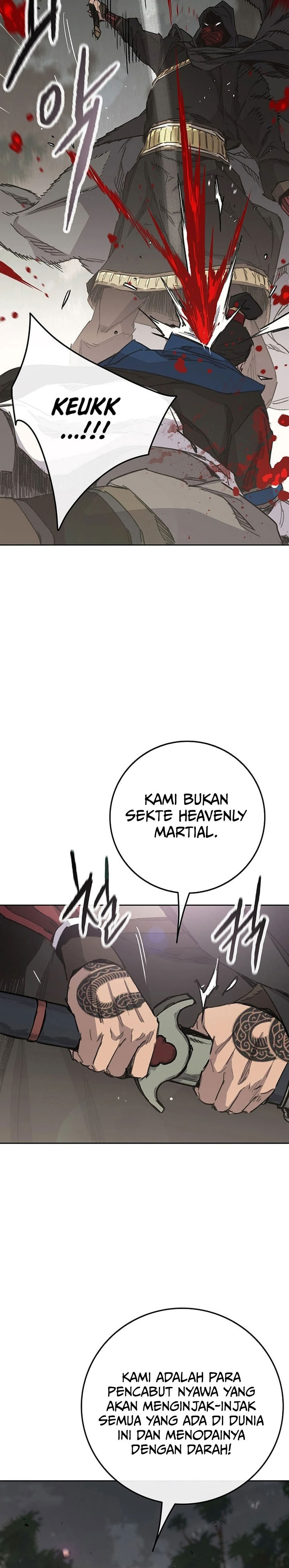 The Undefeatable Swordsman chapter 251