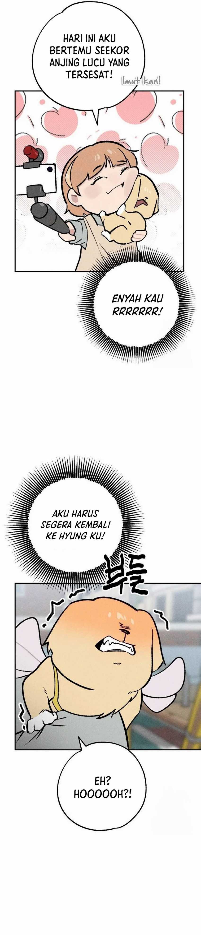 The Devilish Son-In-Law chapter 25
