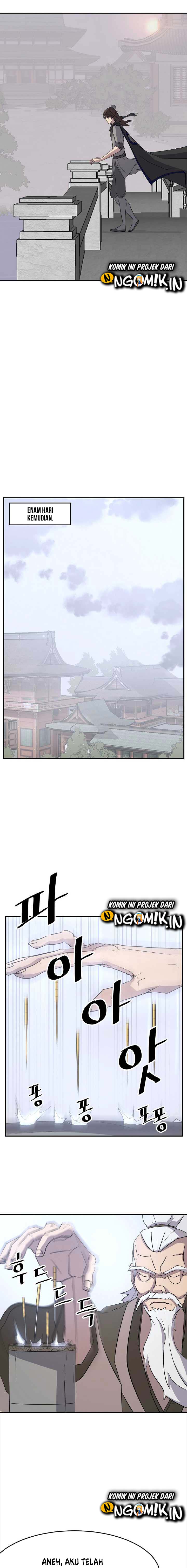 The Invincible Immortal chapter 63