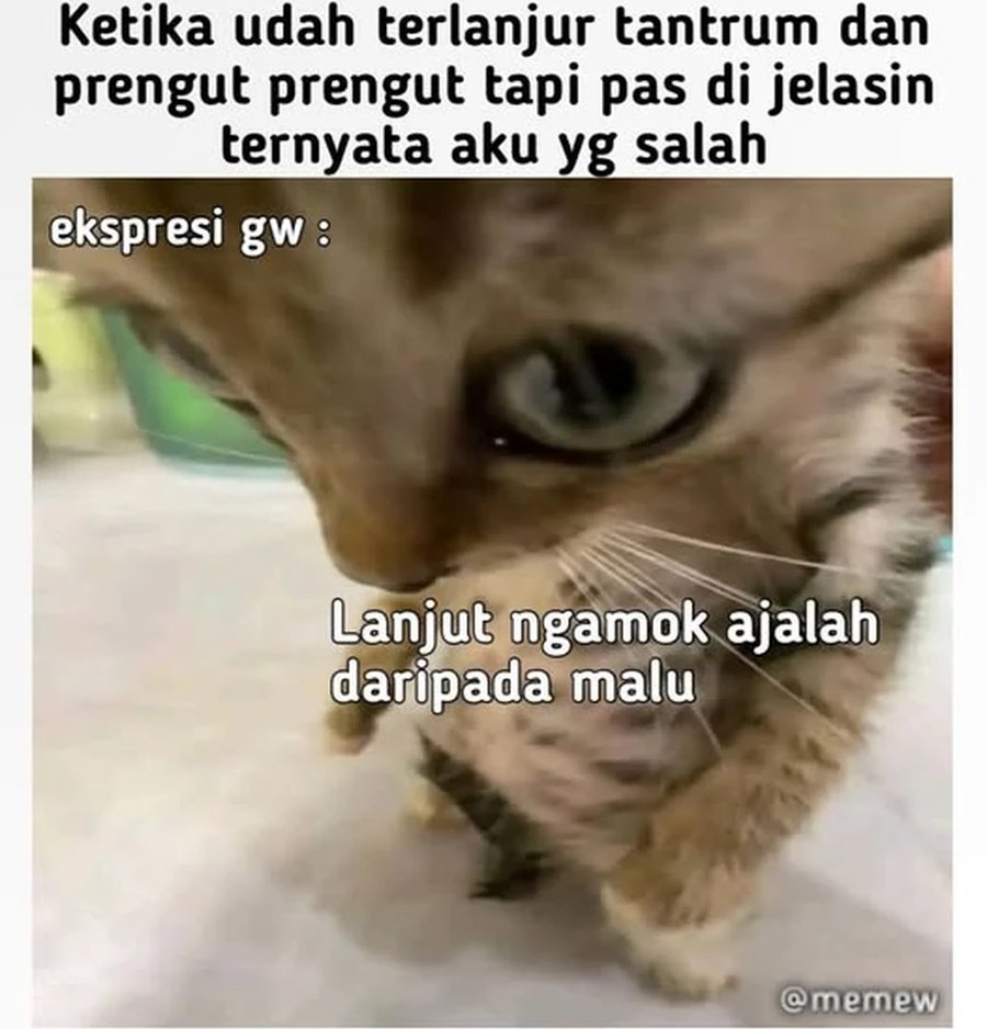 The Rebirth of the Hero’s Party’s Archmage Chapter 70 Bahasa Indonesia