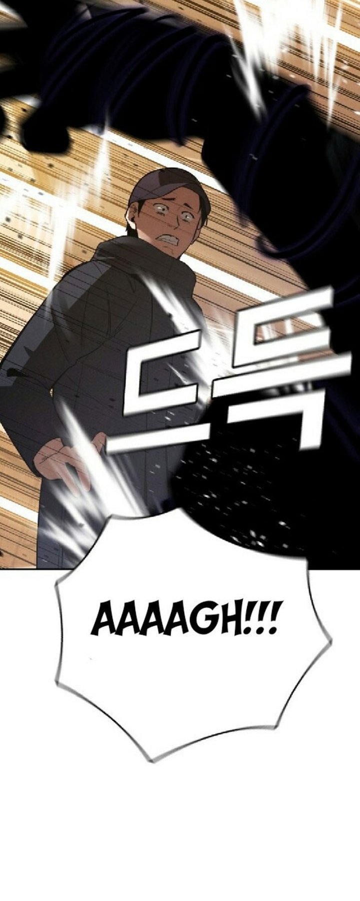 The Regressor Protects Only Me chapter 29