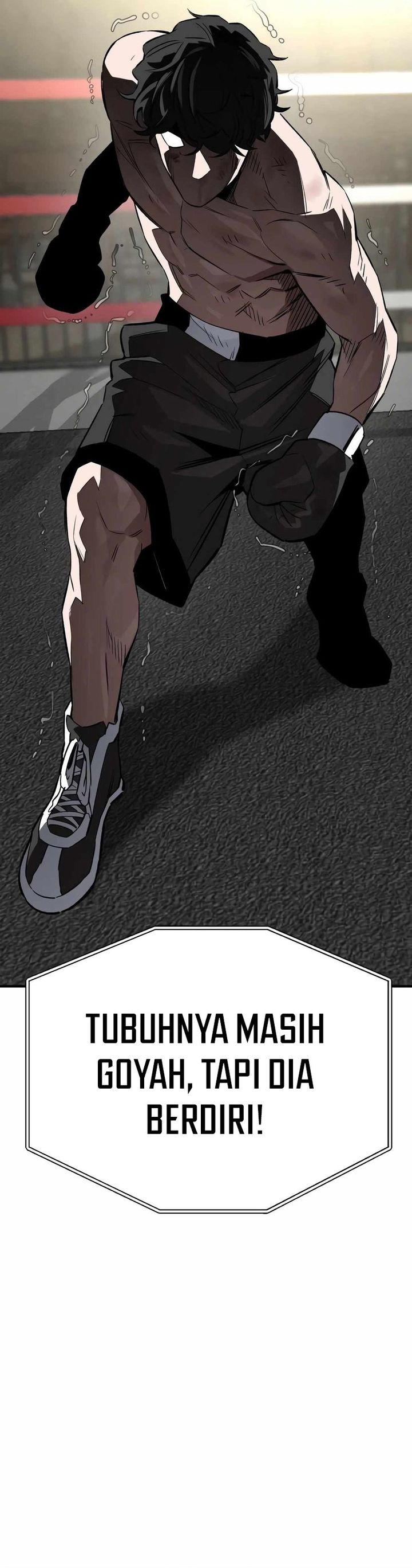 The Smiling Boxer chapter 12