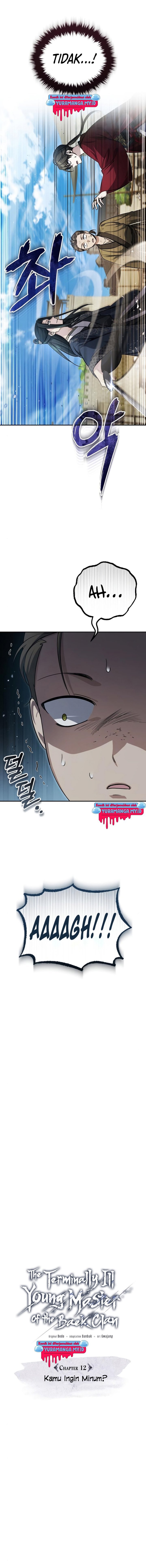 The Terminally Ill Young Master of the Baek Clan chapter 12