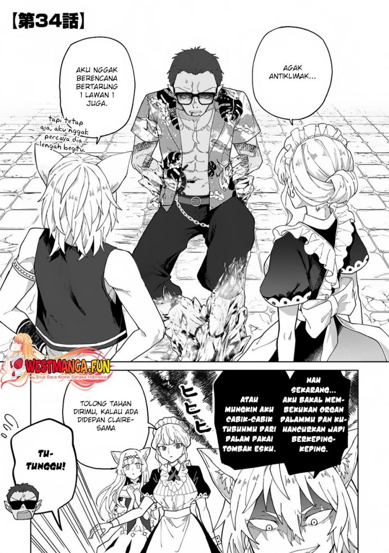 The White Mage Who Was Banished From the Hero’s Party Is Picked up by an S Rank Adventurer ~ This White Mage Is Too Out of the Ordinary! chapter 34