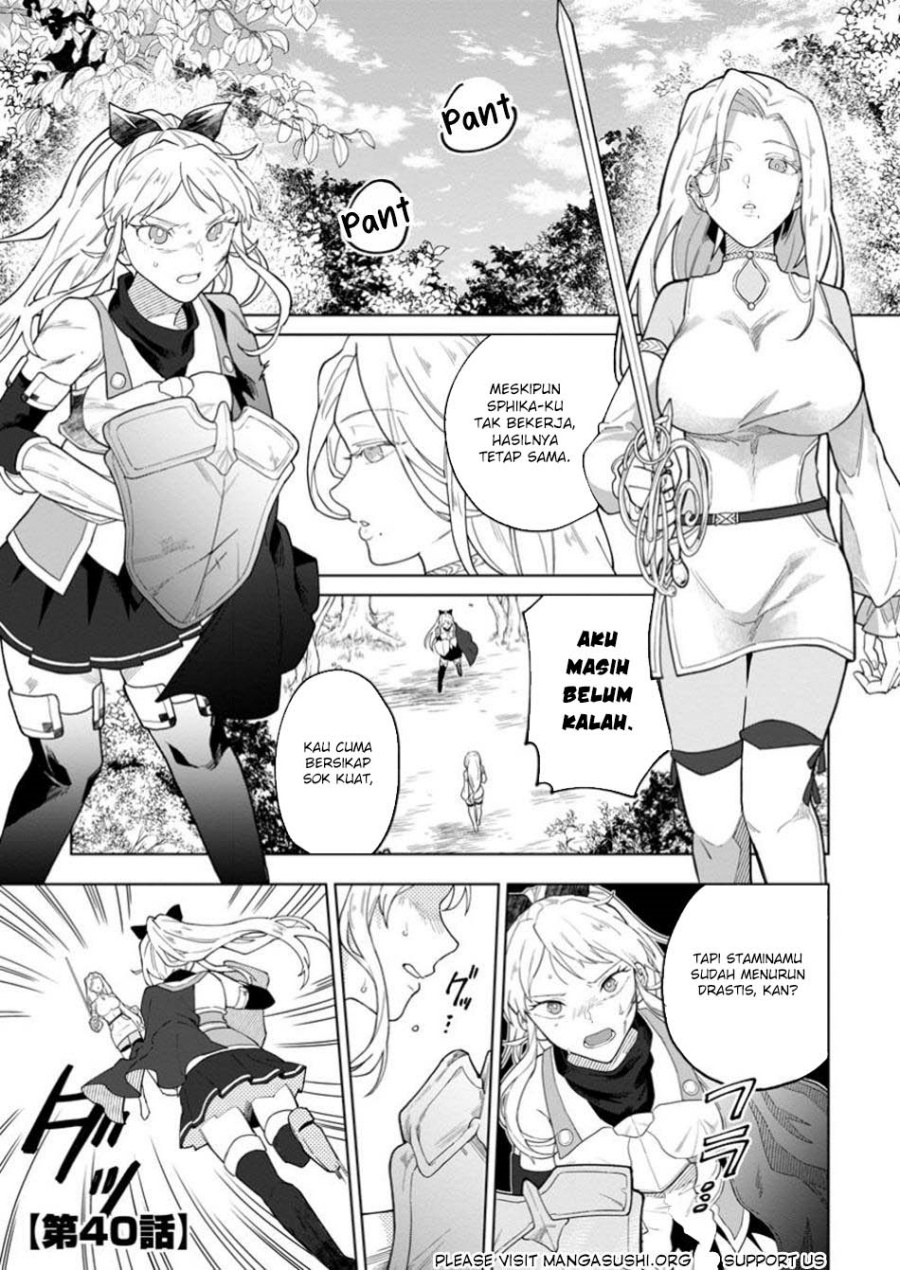 The White Mage Who Was Banished From the Hero’s Party Is Picked up by an S Rank Adventurer ~ This White Mage Is Too Out of the Ordinary! chapter 40