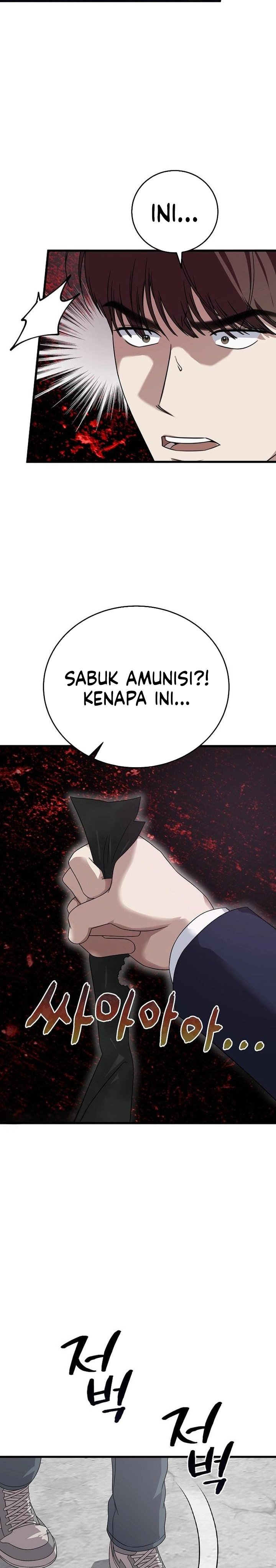 This is the Law Chapter 163 Bahasa Indonesia