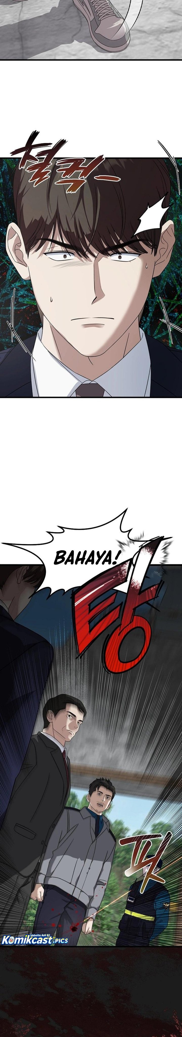 This is the Law Chapter 163 Bahasa Indonesia