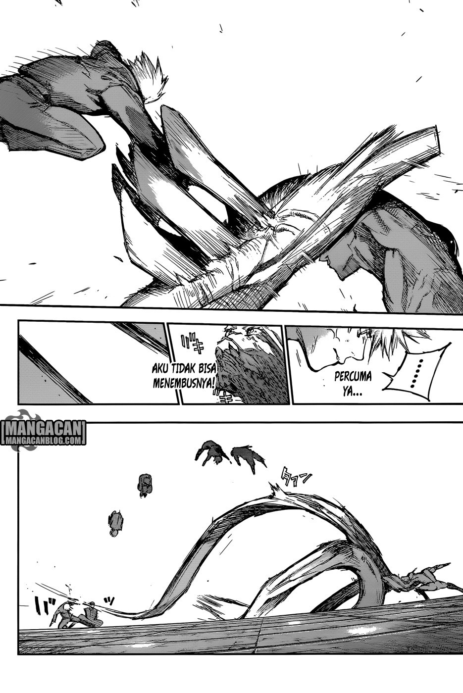 Tokyo Ghoul:re Chapter 113