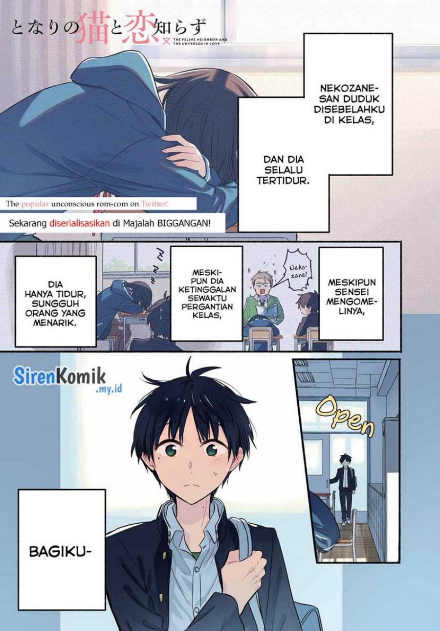Tonari no Neko to Koi Shirazu chapter 13