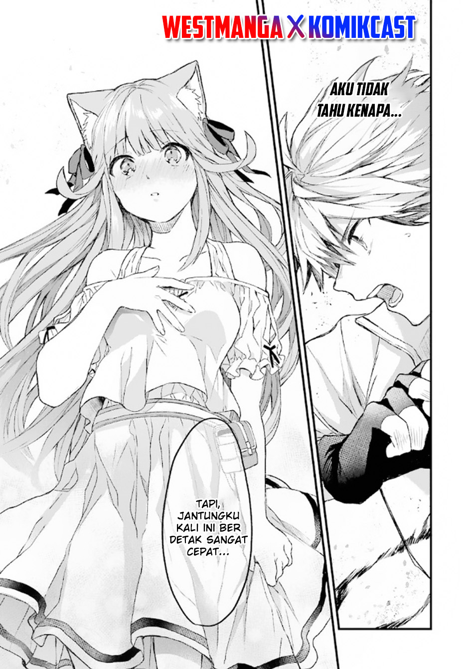 Yuusha Party wo Tsuihou Sareta Beast Tamer, Saikyou Shuzoku Nekomimi Shojo to Deau chapter 6